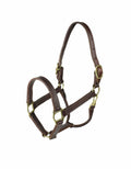 Leather Halter Y6222