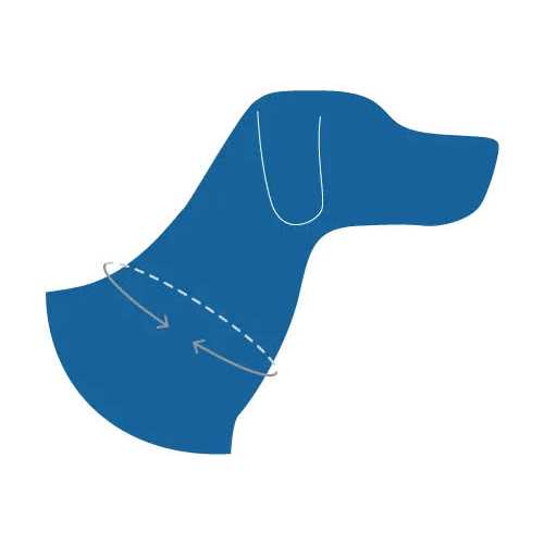 Dog Collar J763435
