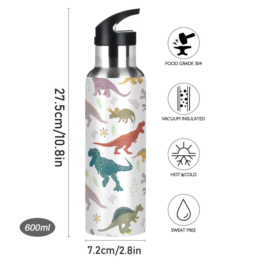 Stainless Steel Insulated Water Bottle with Straw Lid A484046