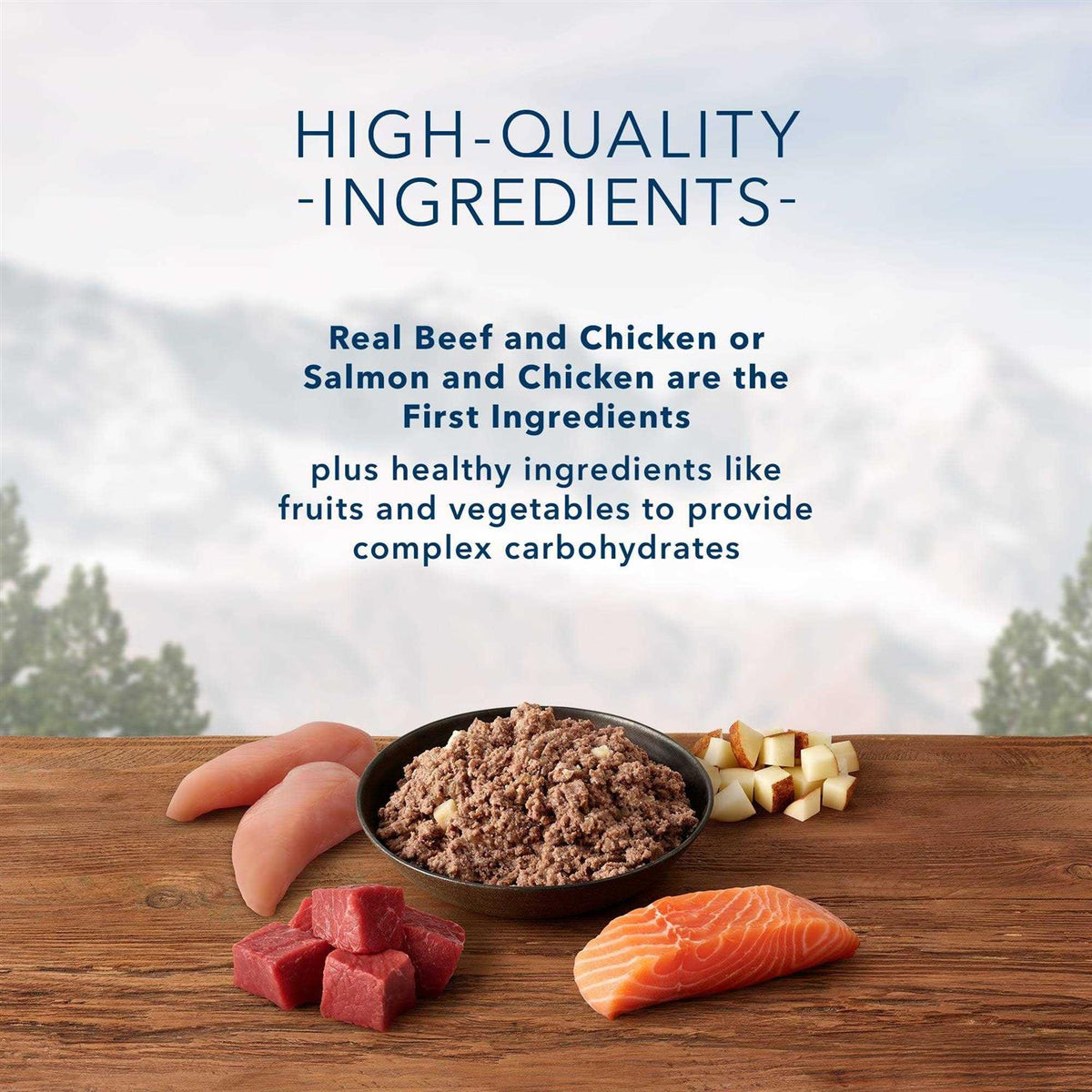 High Protein Beef & Salmon Adult Wet Dog Food Variety Pack Grain-Free F4727