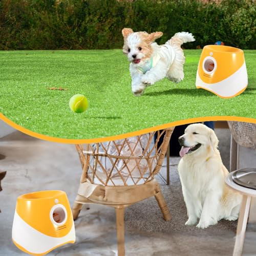 Green Blue Automatic Ball Launcher K698