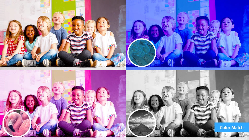 Photoshop Elements 2024 & Premiere Elements 2024 - Windows Q75633