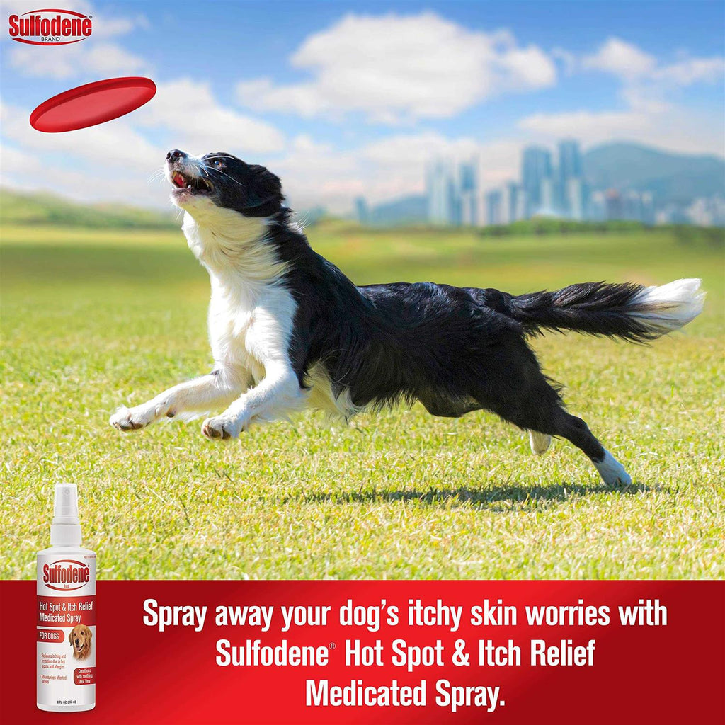 Medicated Itch Relief Spray C97476