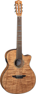 Nylon Acoustic Electric Guitar J897322