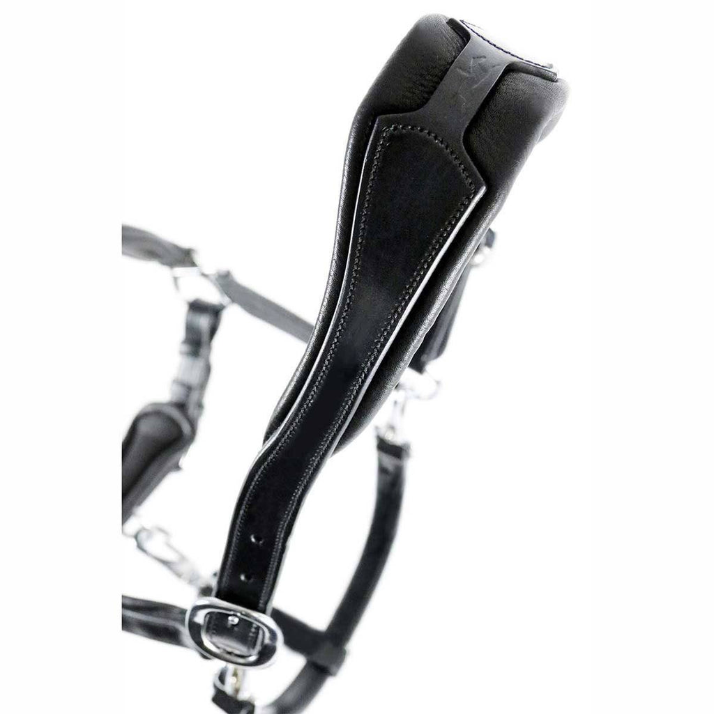 Anatomical Leather Halter D6414