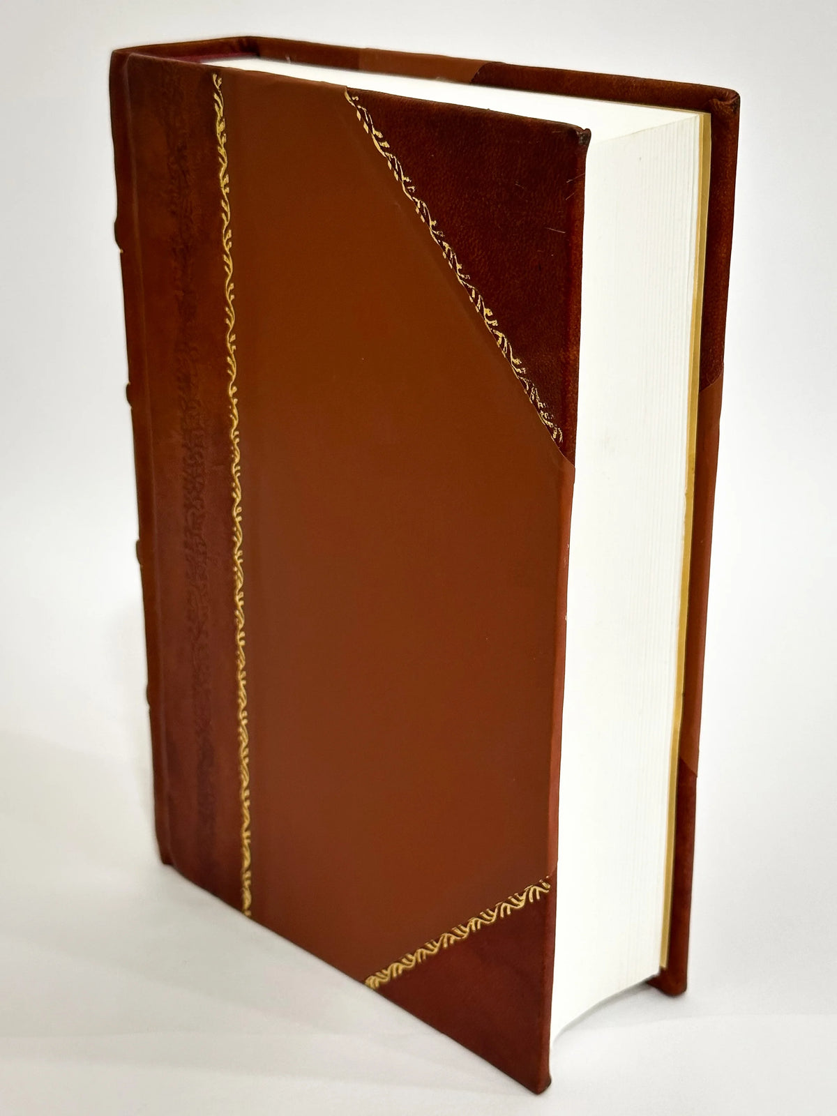 Leather Bound Book V417132
