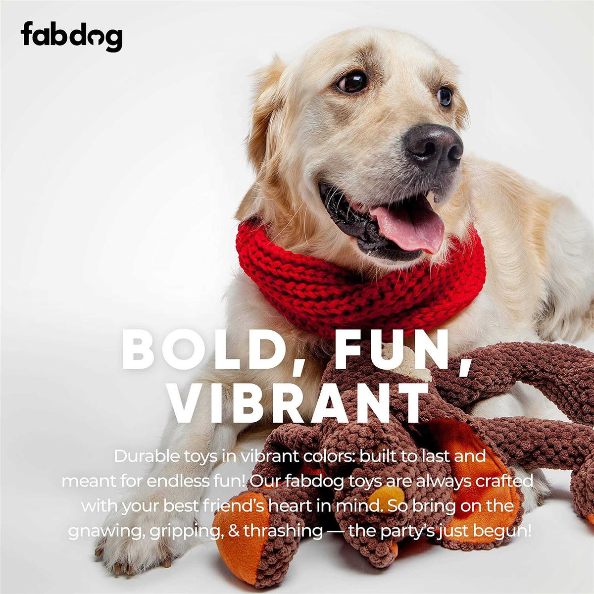 Dog Floppy Toy D741985