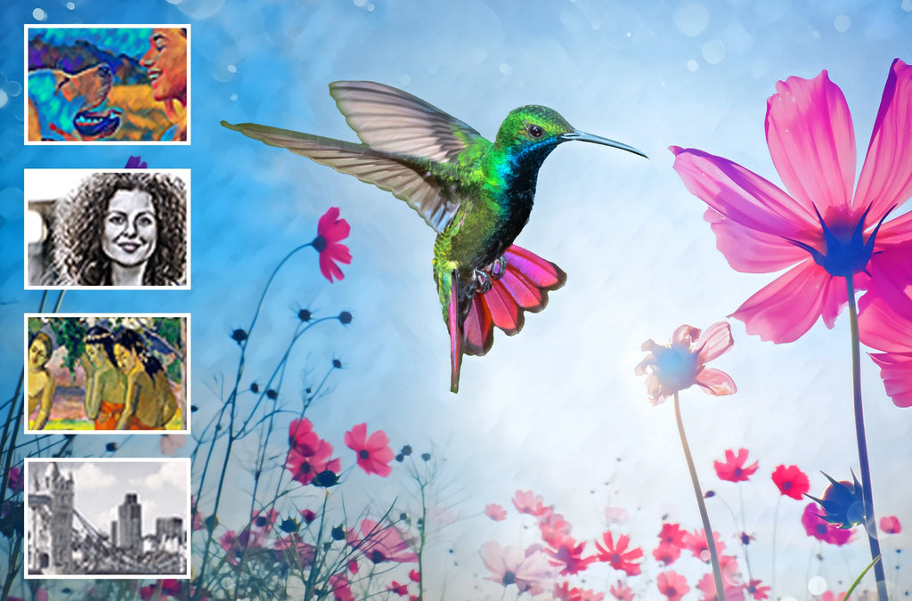 Photoshop Elements 2024 & Premiere Elements 2024 - Windows Q75633