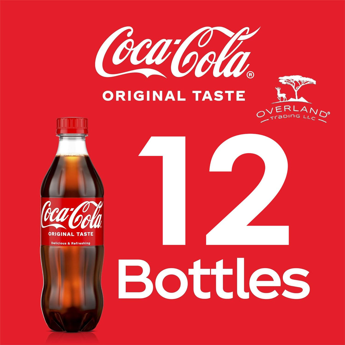 16.9 fl oz 12 Pack Soda Soft Drink E5883