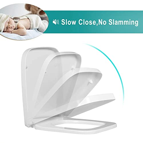Square Toilet Seat with Adjustable Hinges Y557