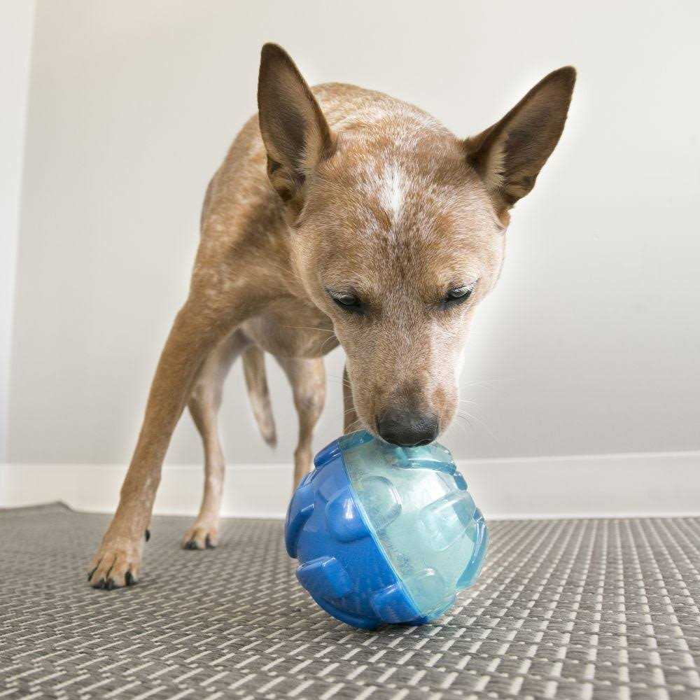 Ball Dog Toy S155