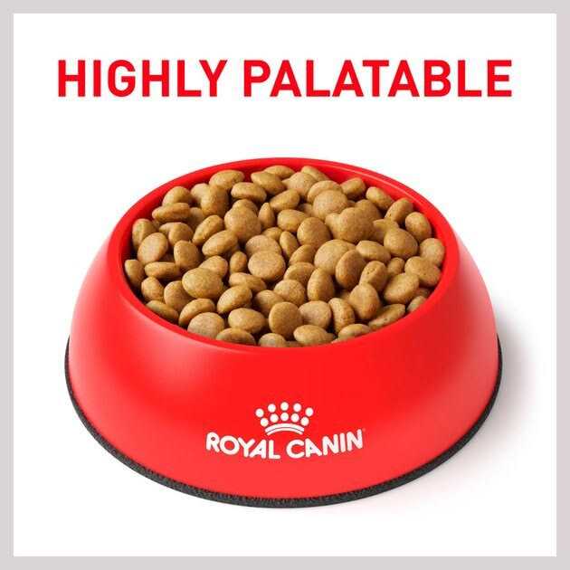 Selected Protein Adult Dry Dog Food Q3772