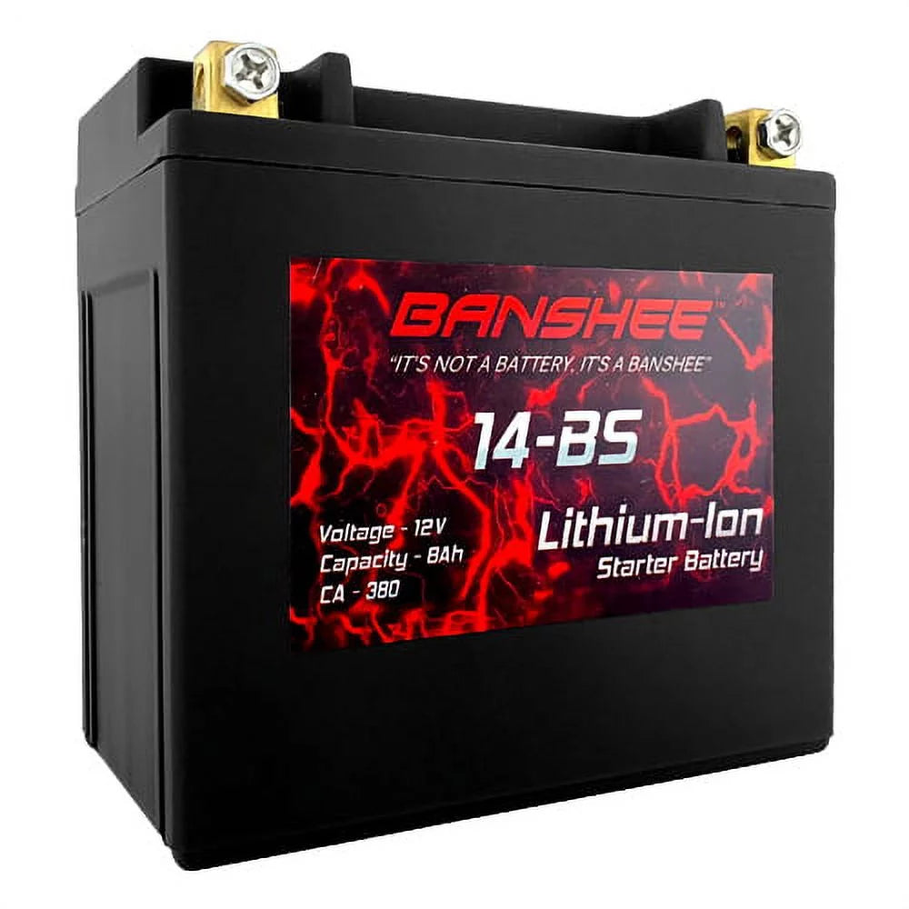 Lithium Motorcycle Battery D369