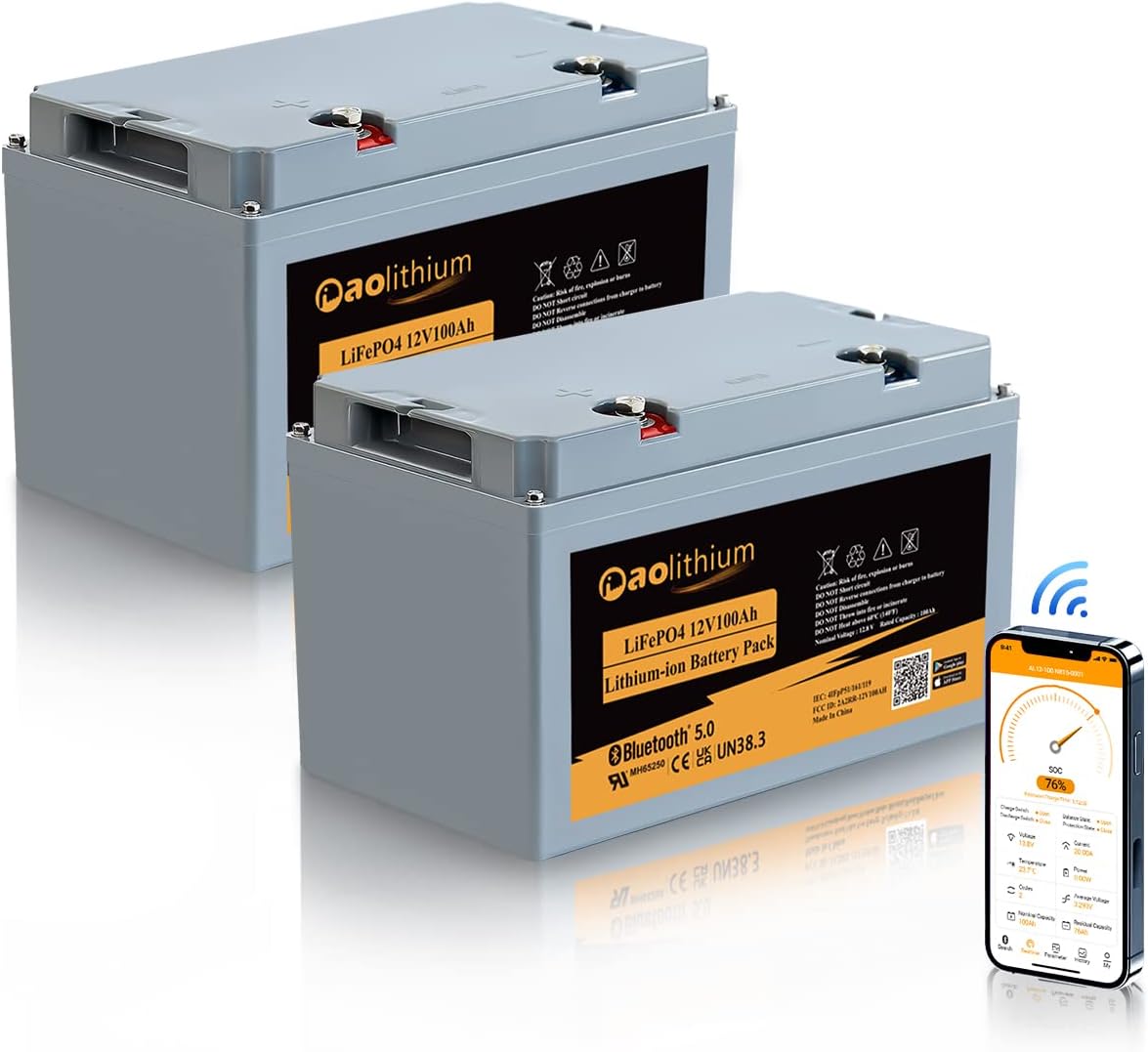 12V 100Ah LiFePO4 Battery with Bluetooth 4000 Cycles Built-in BMS 2Pack R5345