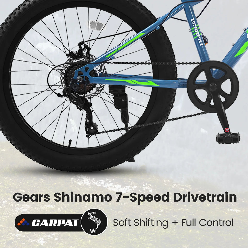 24 inch Fat Tire Mountain Bike A6360