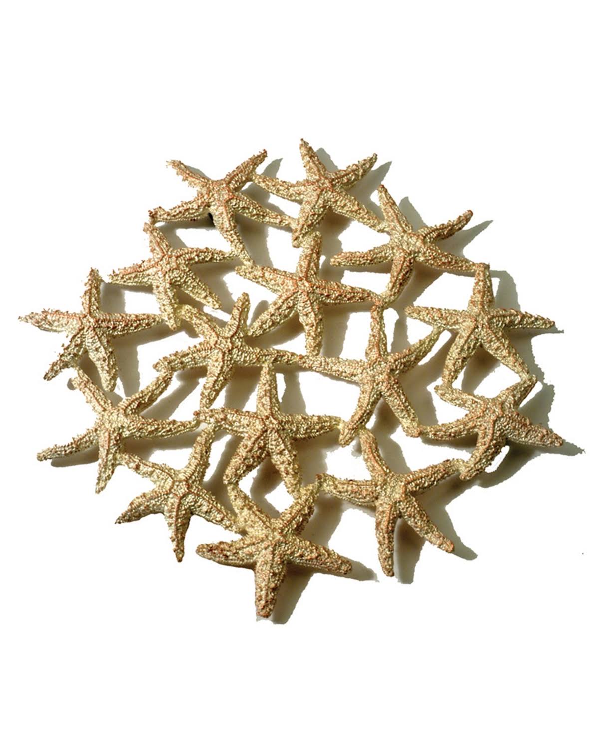 Gold Starfish Trivet F8709
