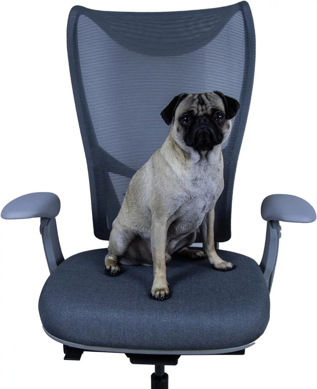 High Back Ergonomic Office Chair with Adjustable Lumbar Support M63067