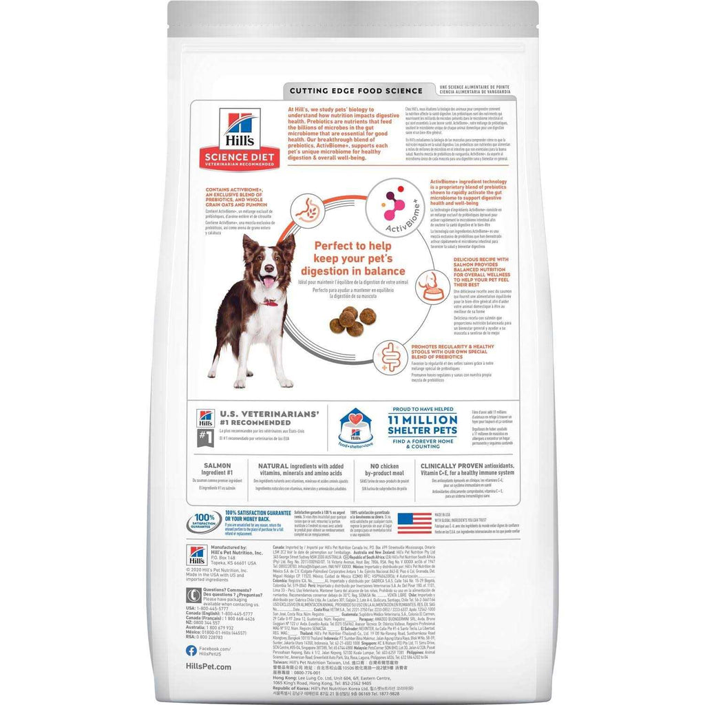 Adult Dog Food G11636