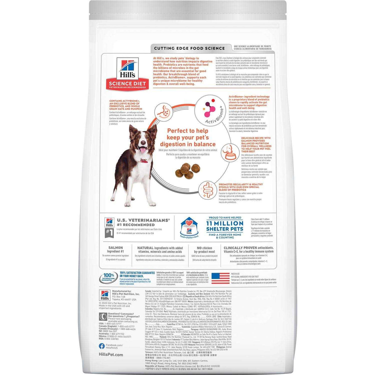 Adult Dog Food G11636