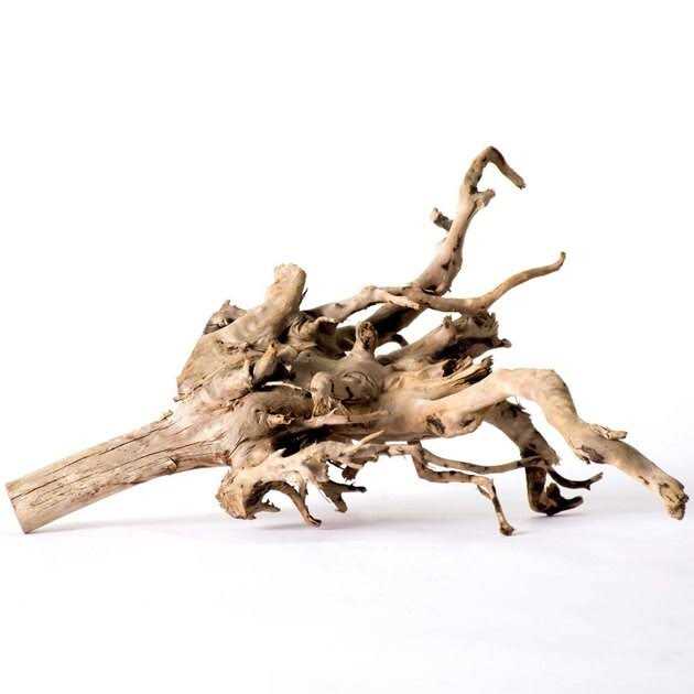 Spider Wood T101