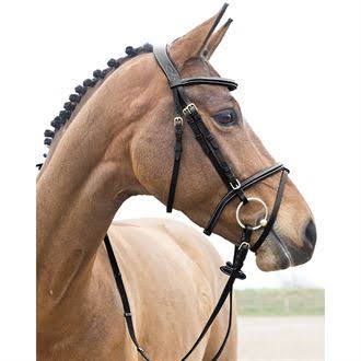 Padded Flash Bridle X70314