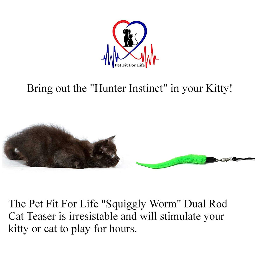 Cat Wand Toy 5-Piece Worm Teaser M95892