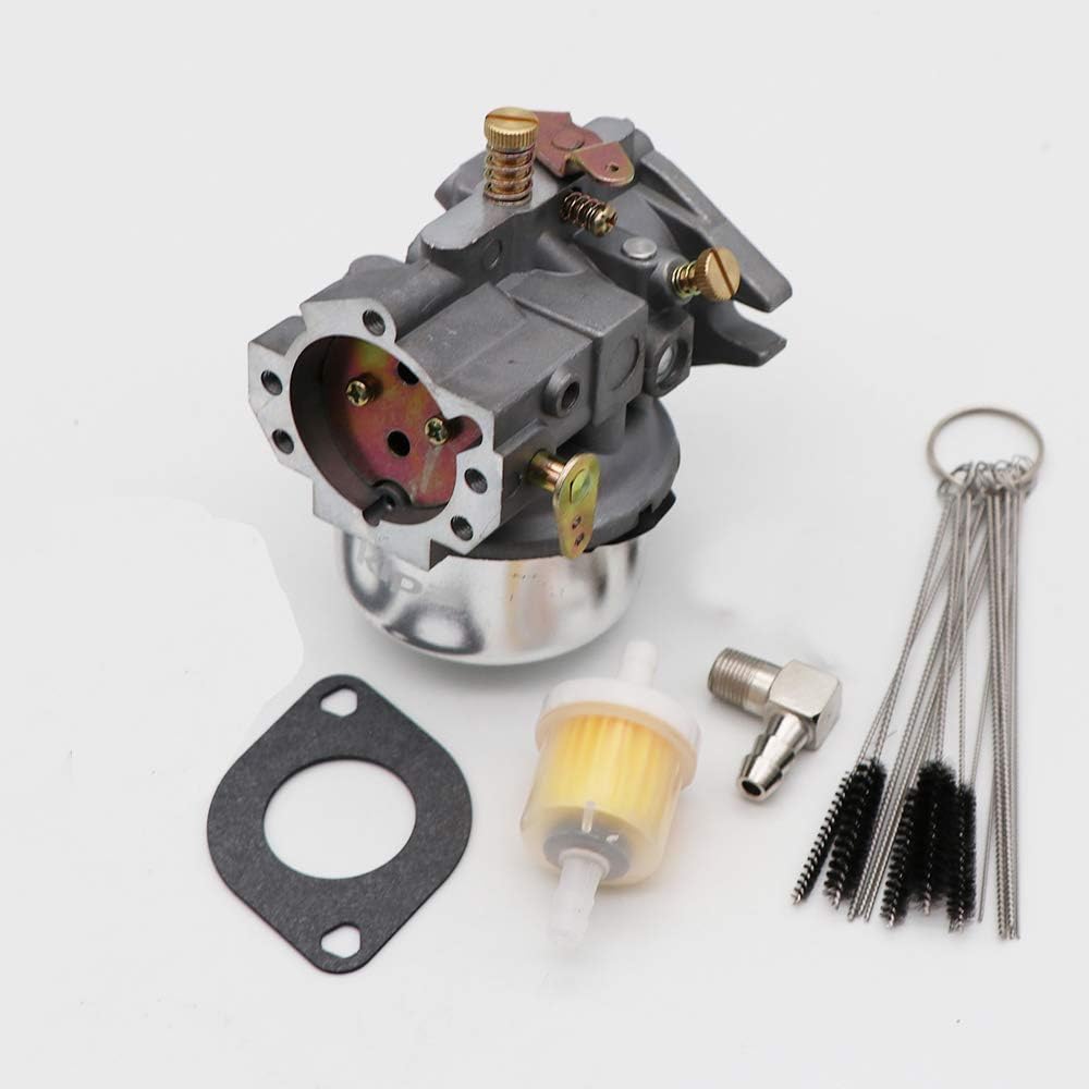 Carburetor with Gaskets & Carbon Dirt Jet Cleaner Tool Kit Pack of 2 T68479