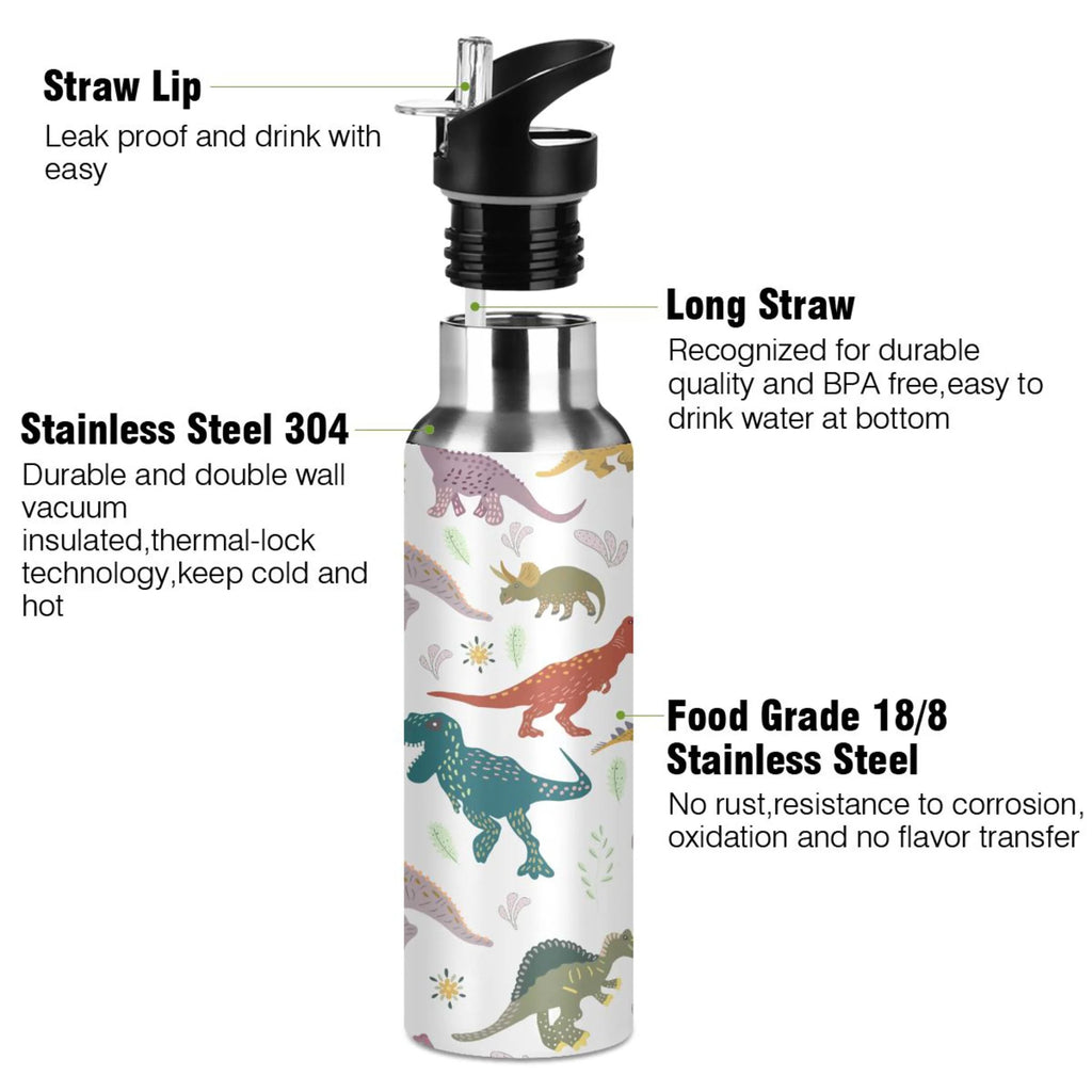 Stainless Steel Insulated Water Bottle with Straw Lid A484046