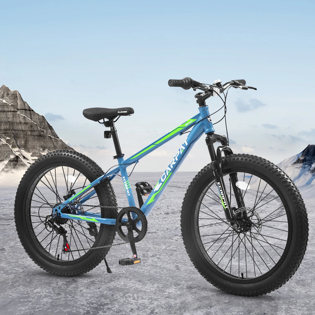 24 inch Fat Tire Mountain Bike A6360