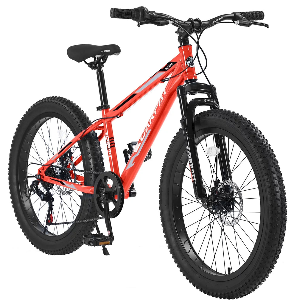 24 inch Fat Tire Mountain Bike A6360