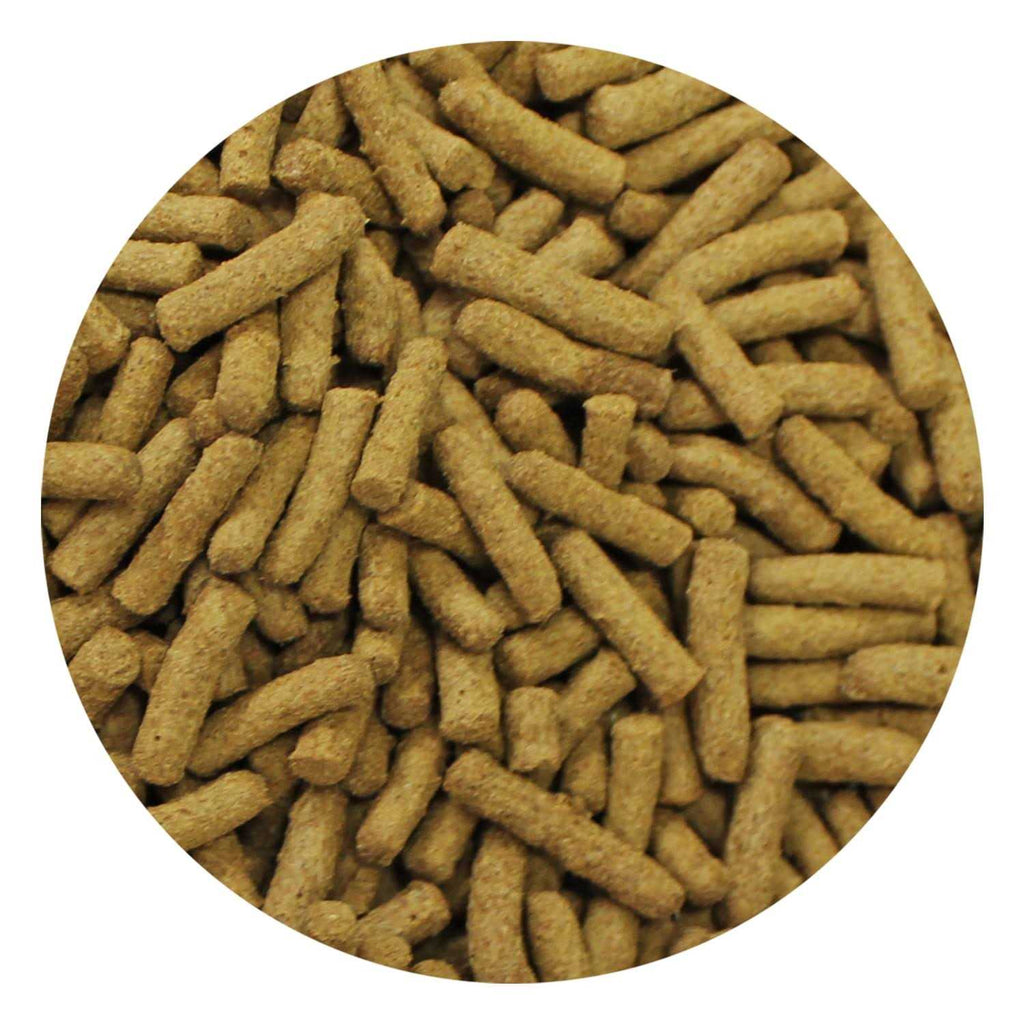 Insectivore Diet W2032