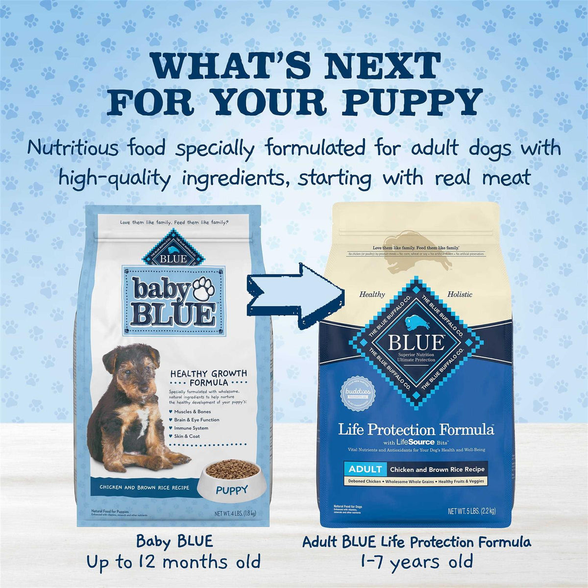 Natural Puppy Dry Dog Food Chicken and Brown Rice C9702