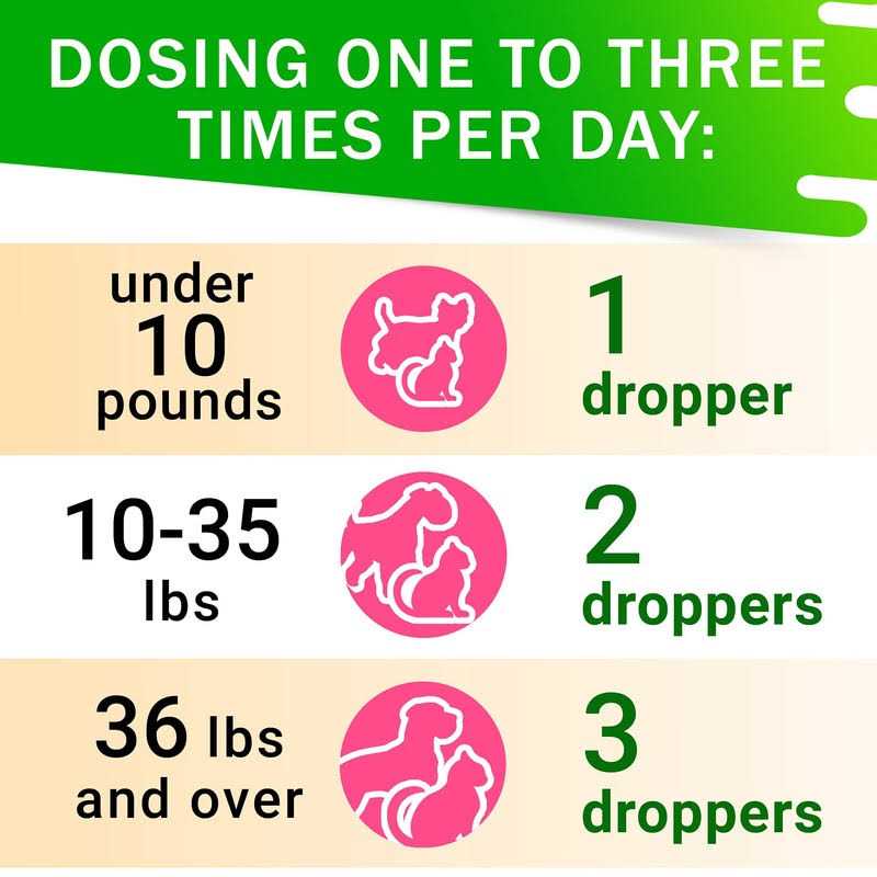 Kennel Cough Drops for Dogs and Cats 2oz Herbal Remedy Y536548