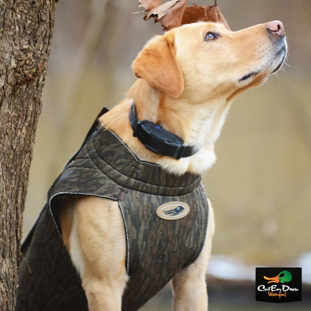 3XLarge Realtree Timber Hunting Dog Parka N49159