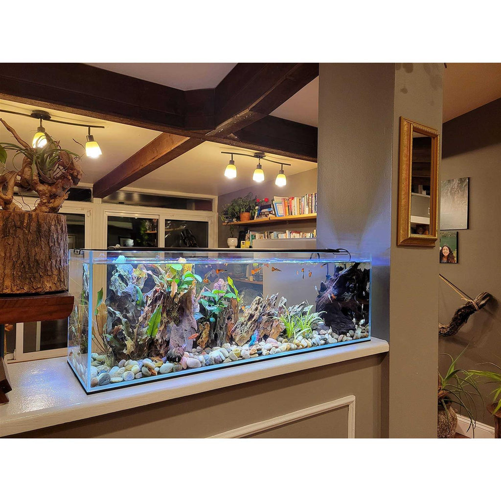 16 Gallon Clear Glass Bookshelf Aquarium V9945