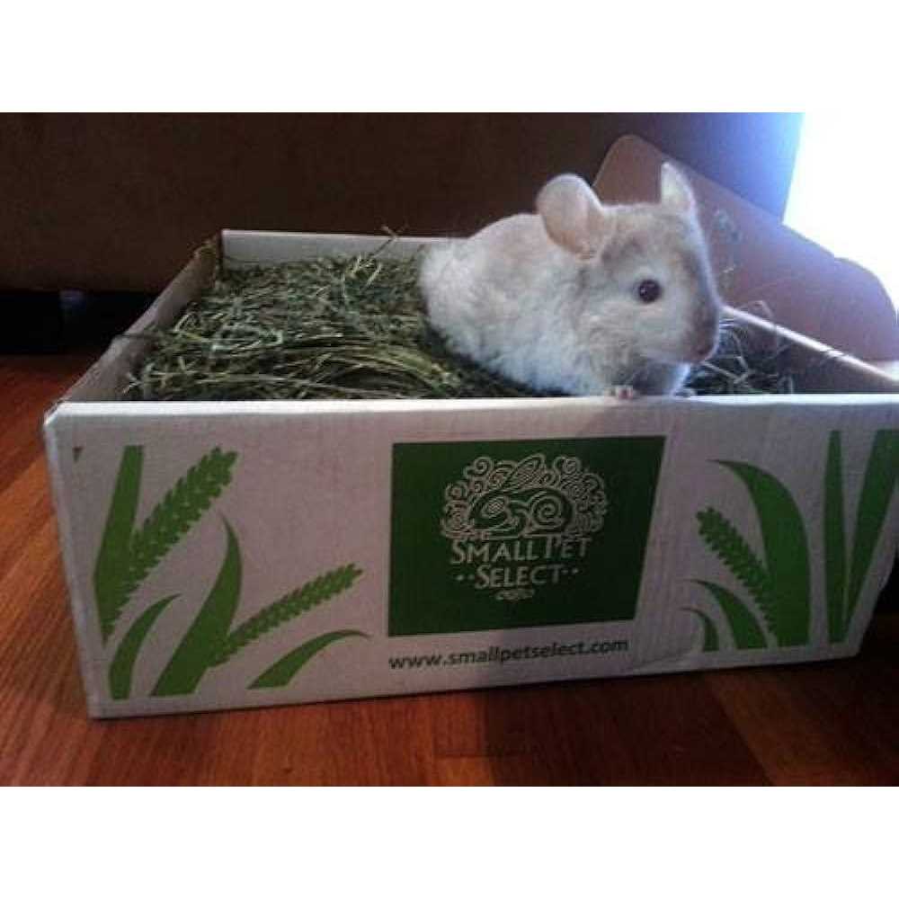 Timothy Hay Pet Food G772623