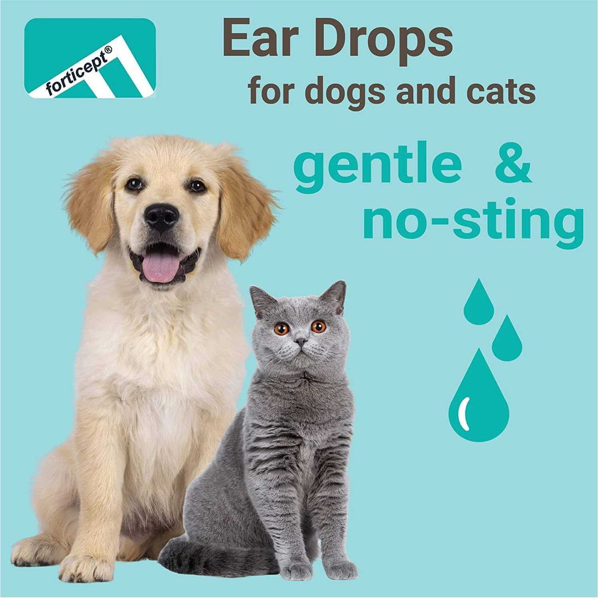 Yeast Ear Infection & Itch Relief Cat & Dog Ear Wash Cleaner Q4913
