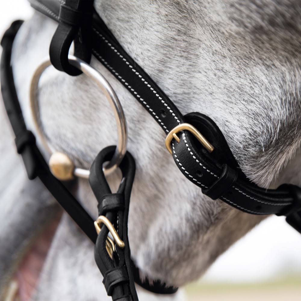 Padded Flash Bridle X70314