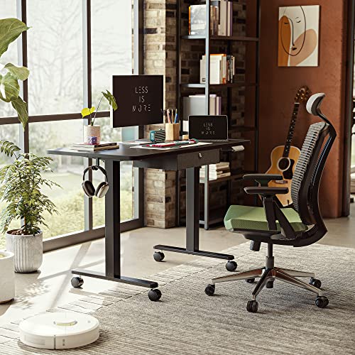 55 x 24 Inches Adjustable Height Electric Standing Desk with Drawer Y87790