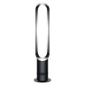 Black Fan P597