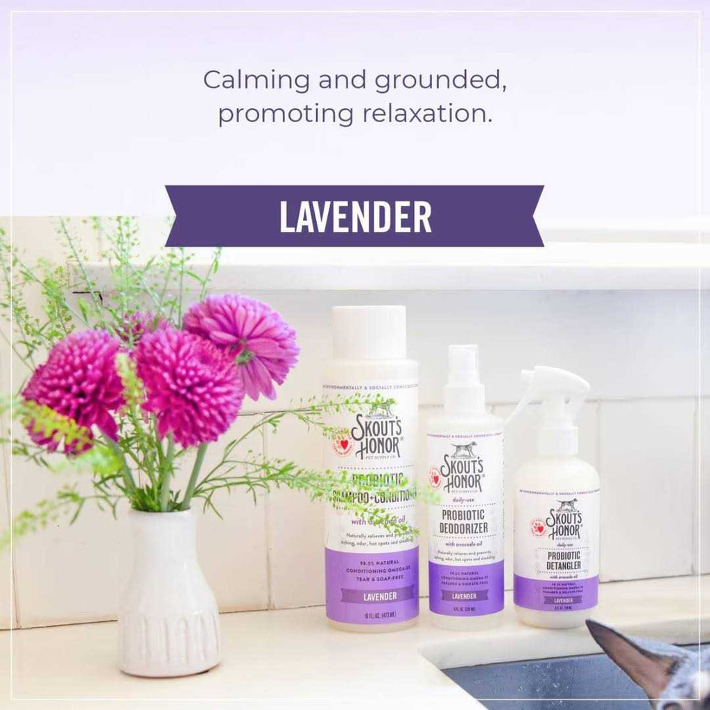 Probiotic Detangler T574669