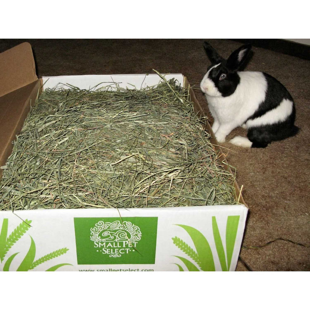 Timothy Hay Pet Food G772623