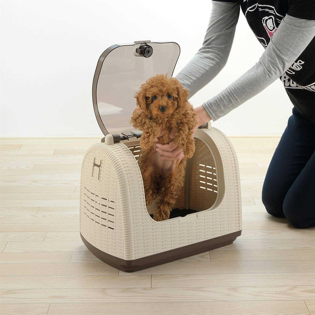 Faux Wicker Pet Carrier Q42490