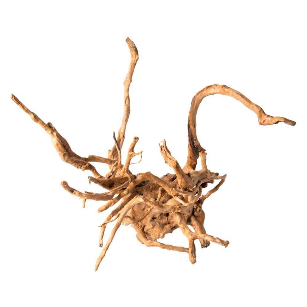Spider Wood T101