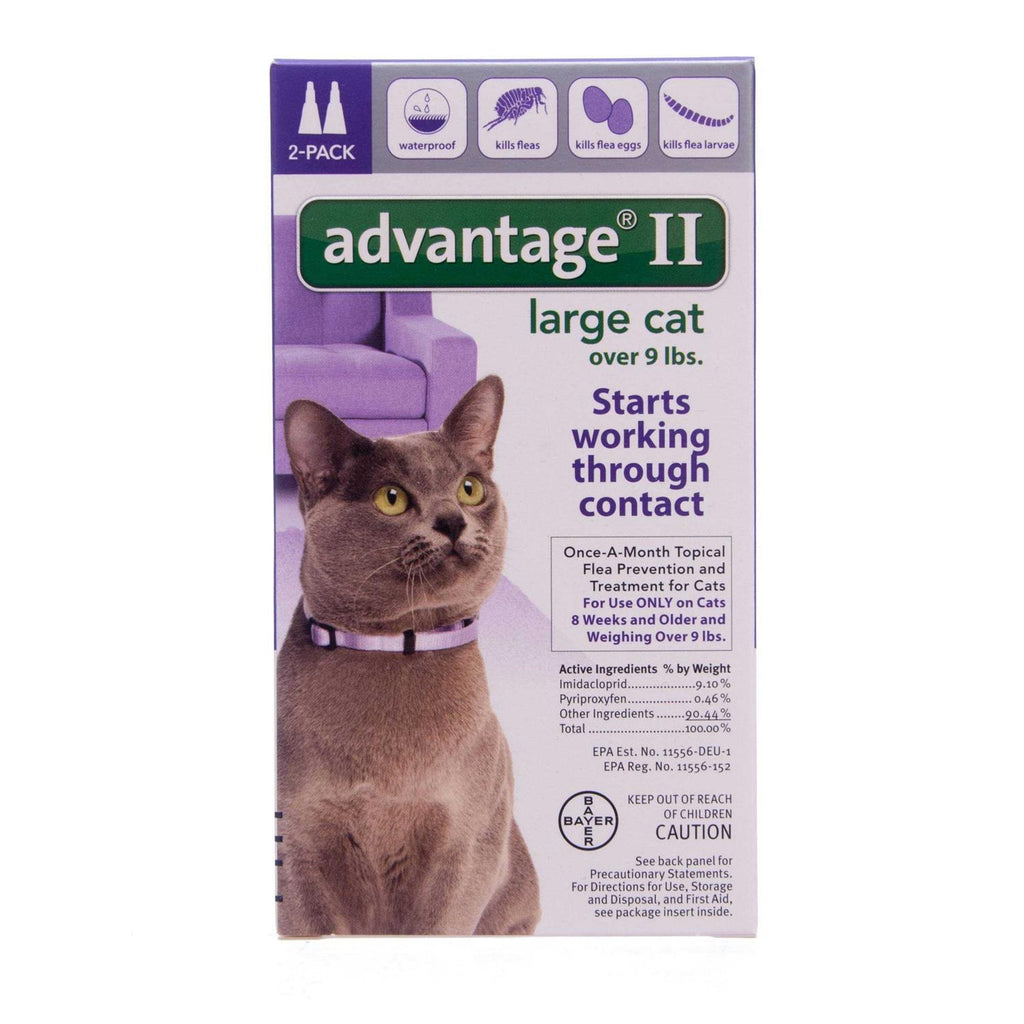 Flea Treatment Cats V307868