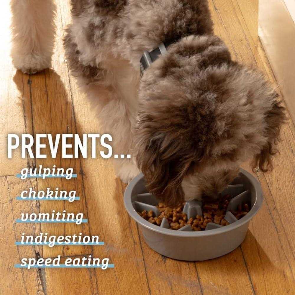 Slow Feeder Dog Bowl with Feeder Holes U1863