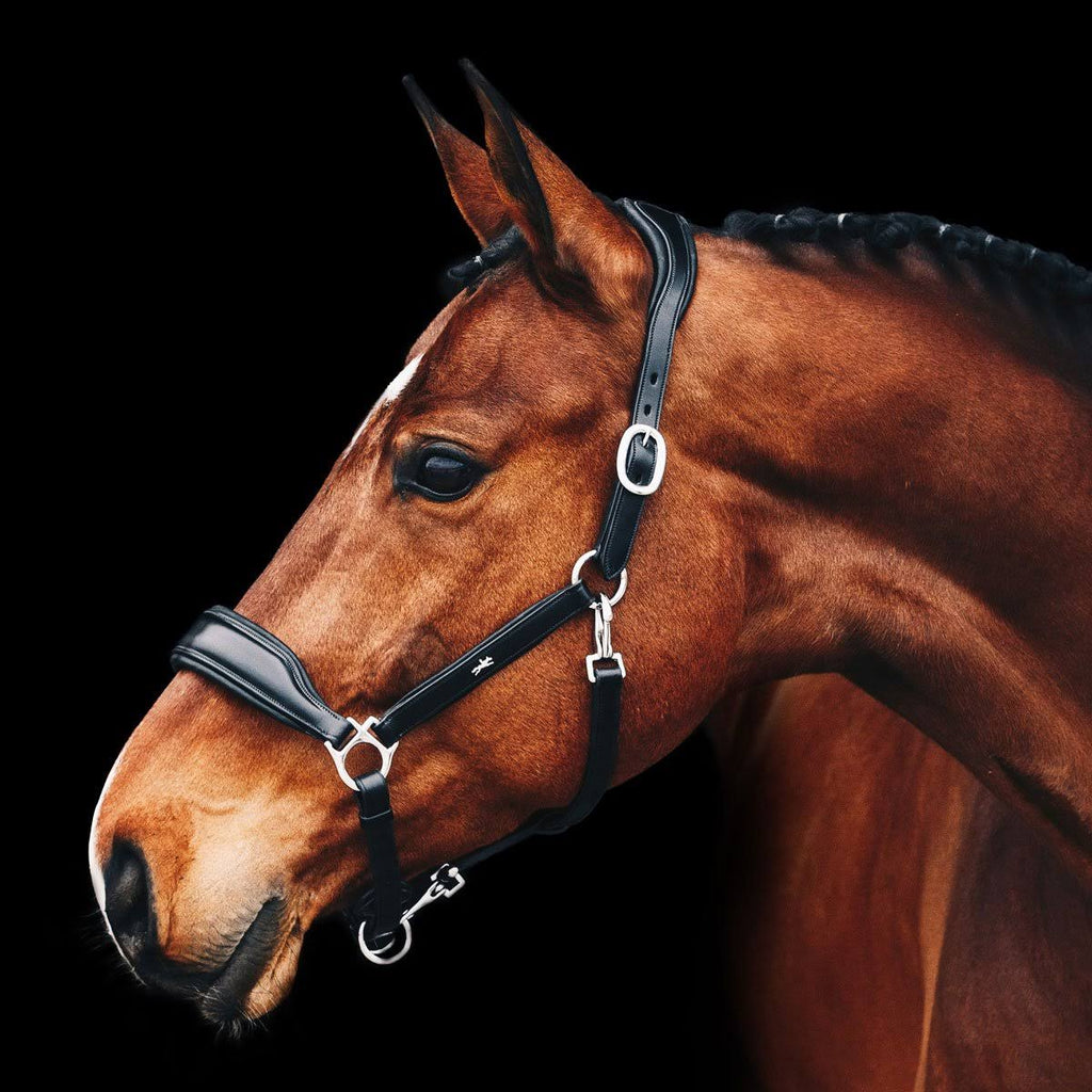 Anatomical Leather Halter D6414