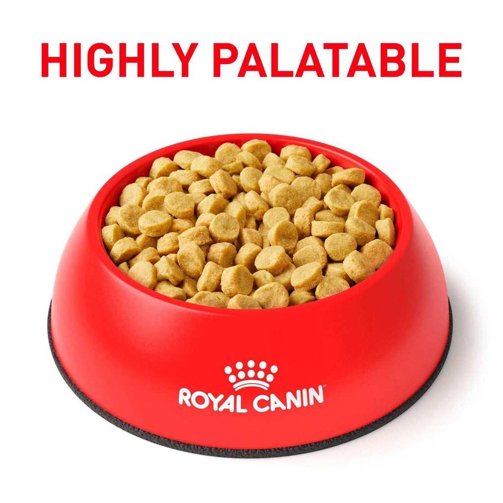 Hydrolyzed Protein Dry Dog Food A2960