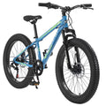 24 inch Fat Tire Mountain Bike A6360