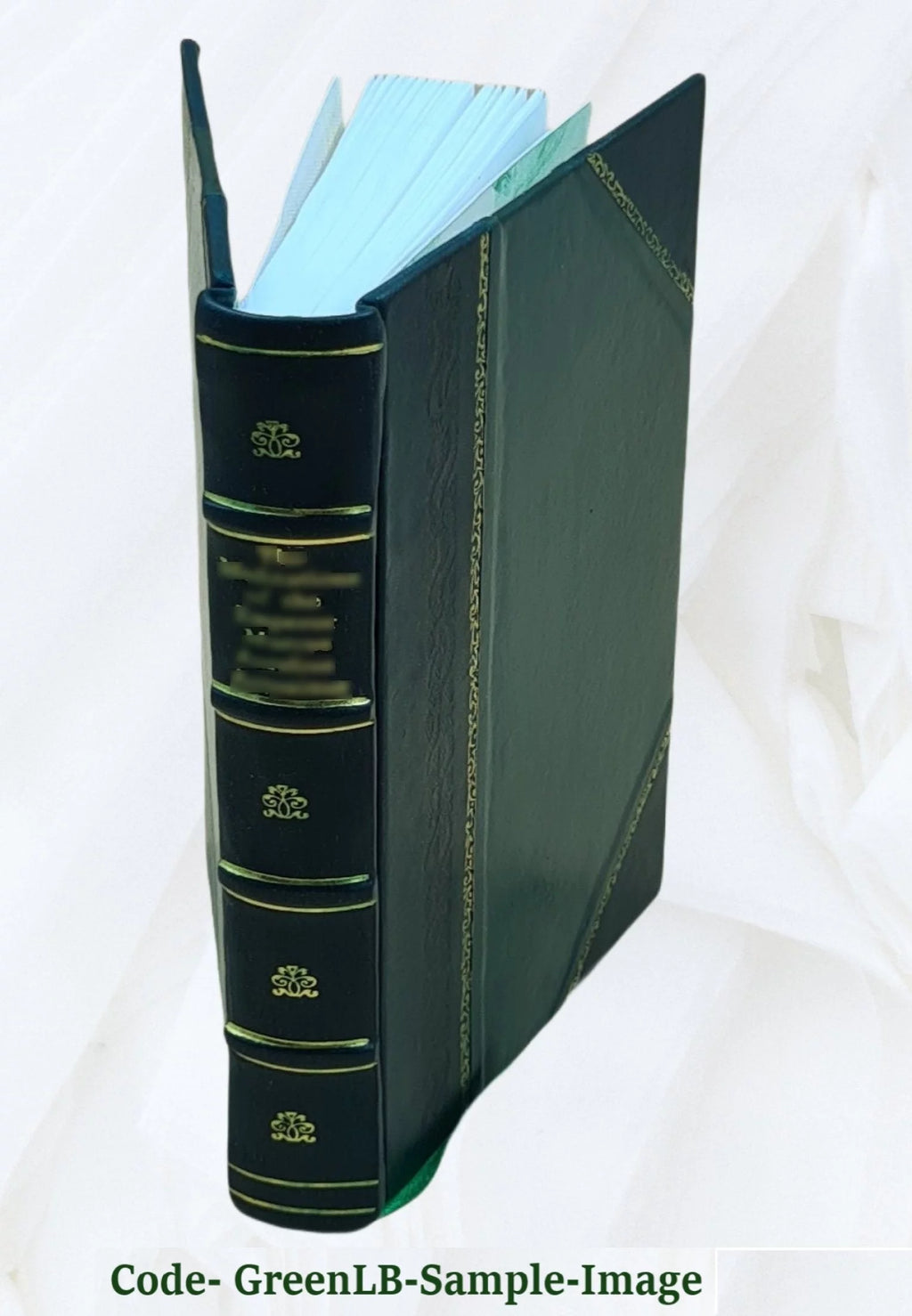 Leather Bound Romanzo B233